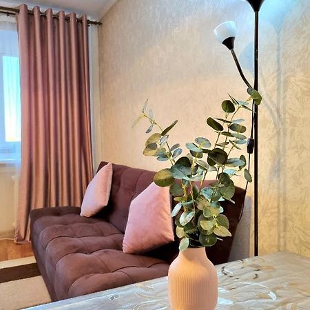 Apartment на Стрелке с красивым видом на Иртыш Оскемен Екстер'єр фото