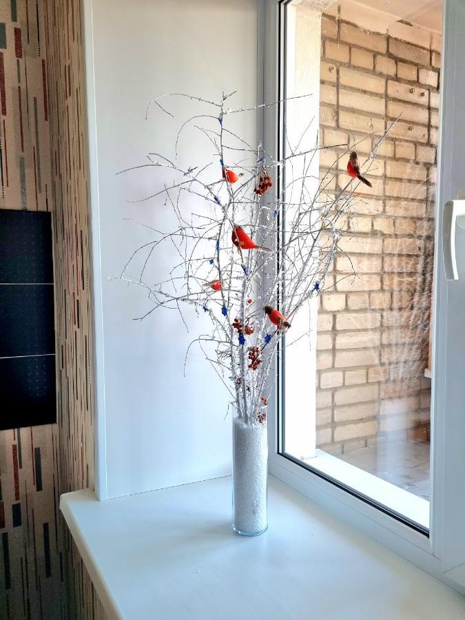 Apartment на Стрелке с красивым видом на Иртыш Оскемен Екстер'єр фото