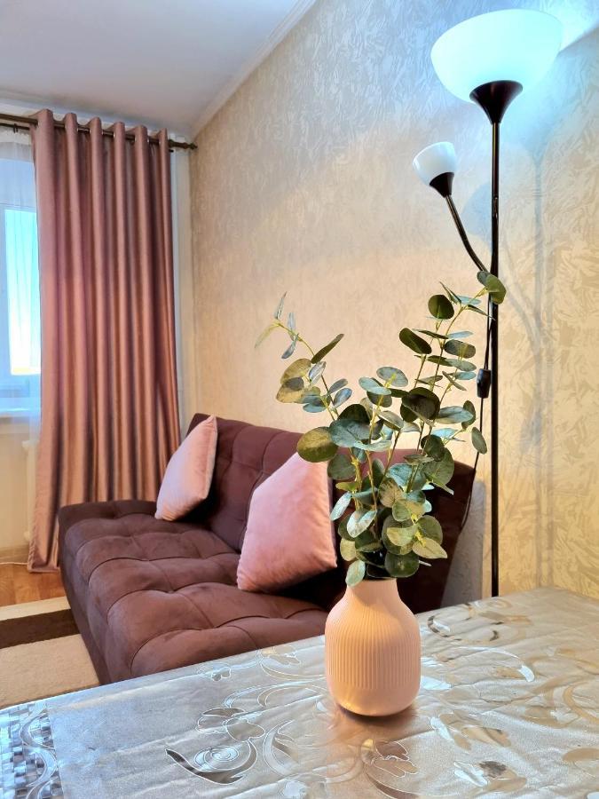 Apartment на Стрелке с красивым видом на Иртыш Оскемен Екстер'єр фото